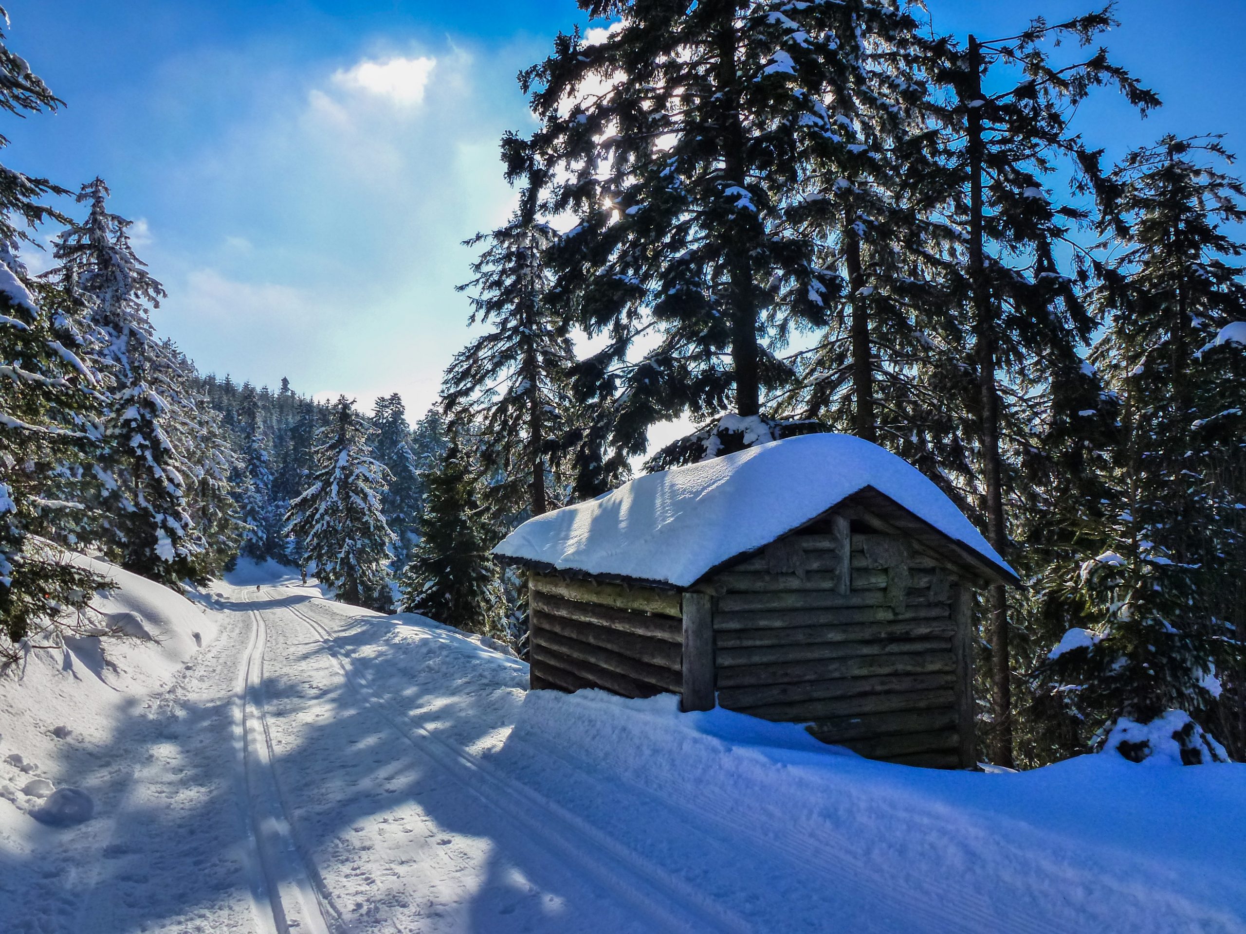 Bildnachweis: Pixelio